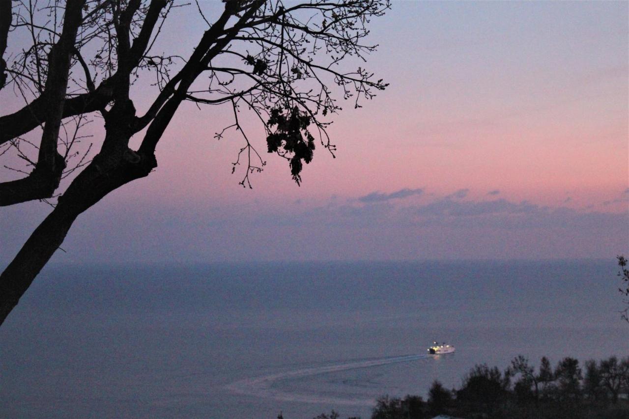 Villa Treglia B&B Formia Luaran gambar