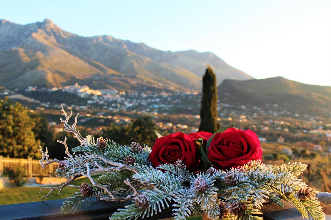Villa Treglia B&B Formia Luaran gambar