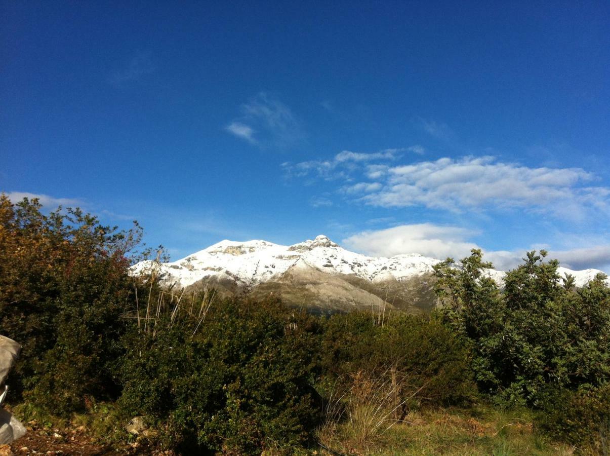 Villa Treglia B&B Formia Luaran gambar