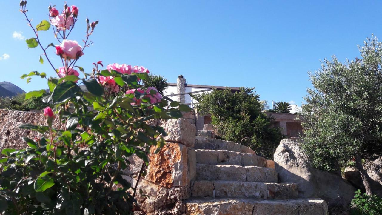 Villa Treglia B&B Formia Luaran gambar