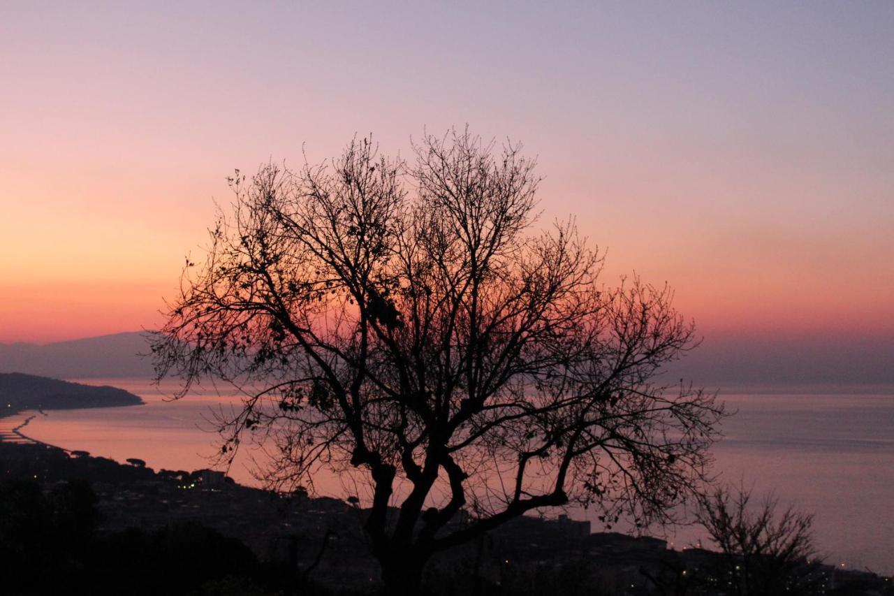 Villa Treglia B&B Formia Luaran gambar